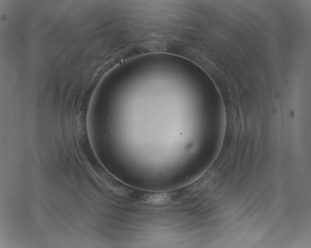 X0000077350088200611031832