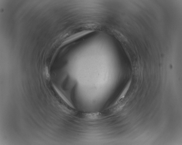 X0000077350089200611031832