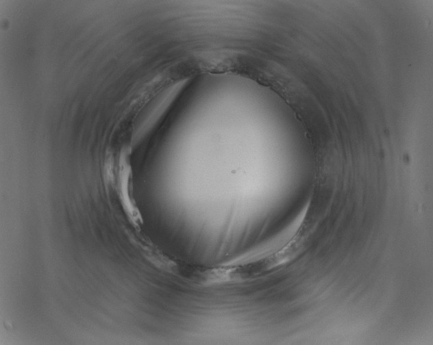 X0000077350090200611031832