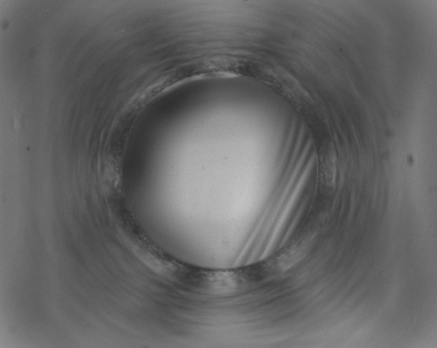 X0000077350091200611031832