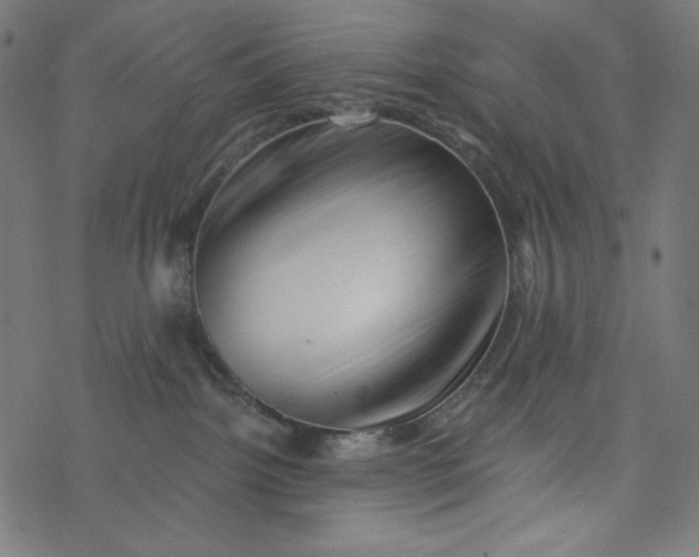 X0000077350092200611031832