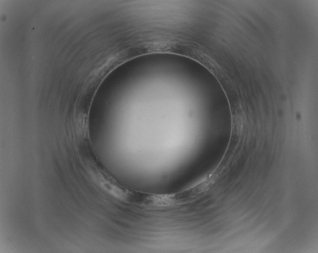 X0000077350093200611031832