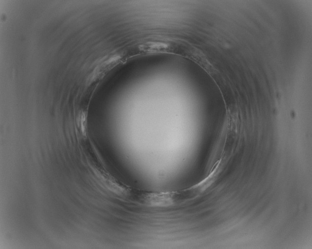 X0000077350094200611031832