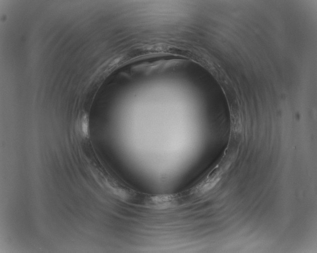 X0000077350095200611031832