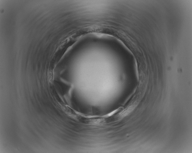 X0000077350096200611031832