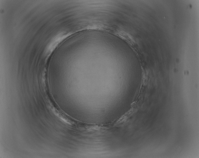 X0000077350098200611031831