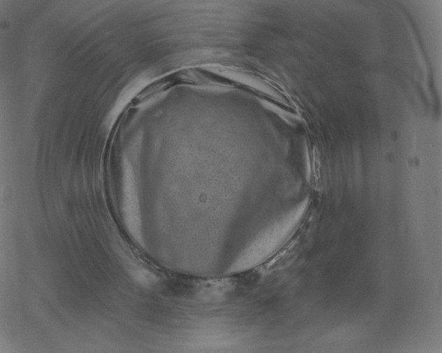 X0000077350099200611031831