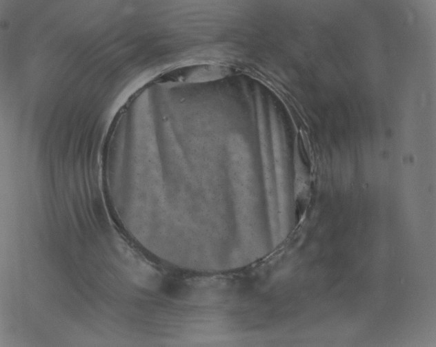 X0000077350100200611031831