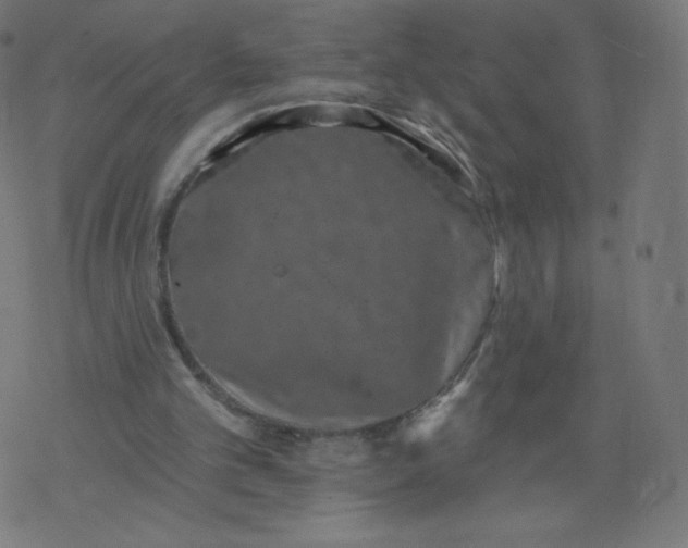 X0000077350101200611031831