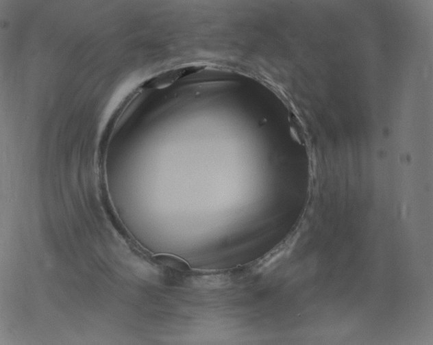 X0000077350102200611031831