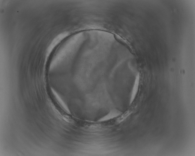 X0000077350104200611031831