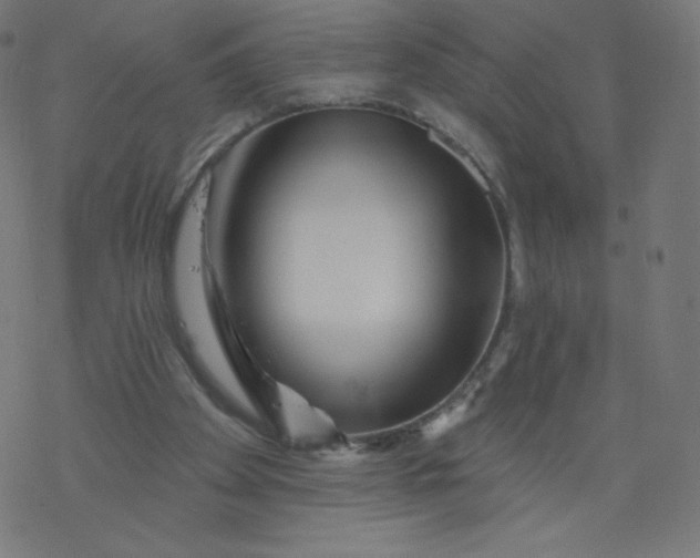 X0000077350105200611031831