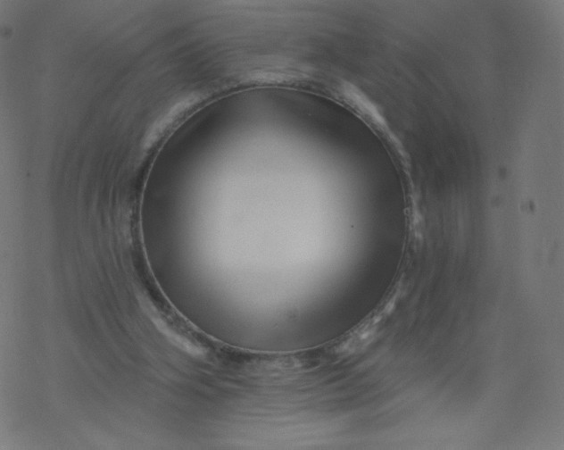 X0000077350106200611031831