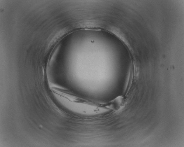 X0000077350109200611031831