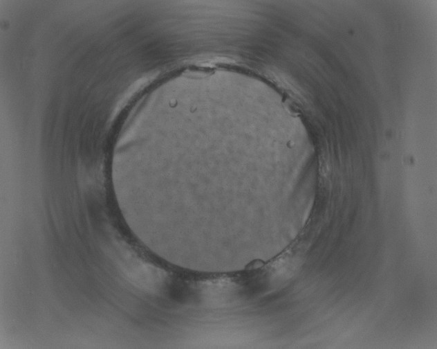 X0000077350112200611031831