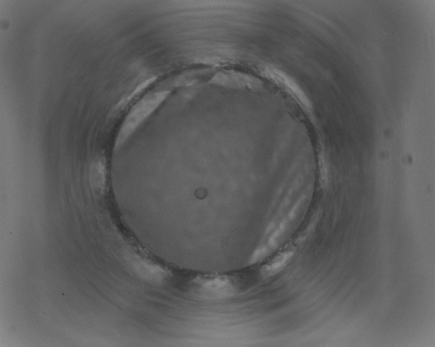 X0000077350113200611031831