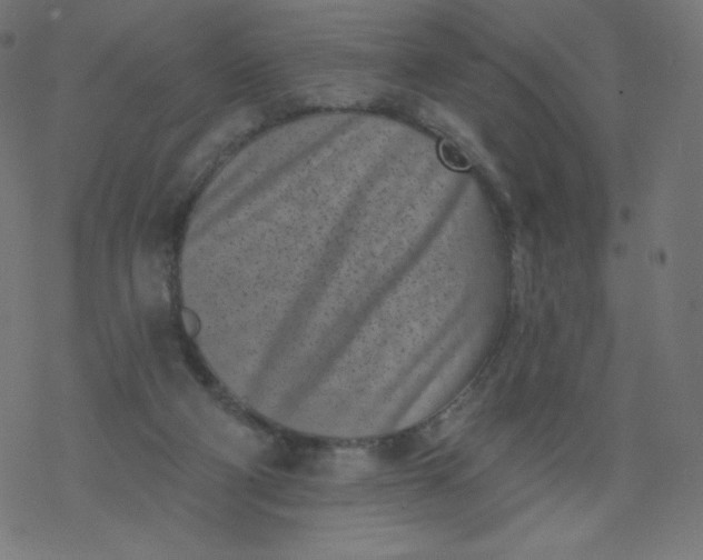 X0000077350114200611031831