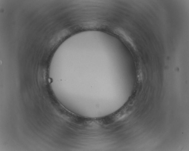 X0000077350115200611031831