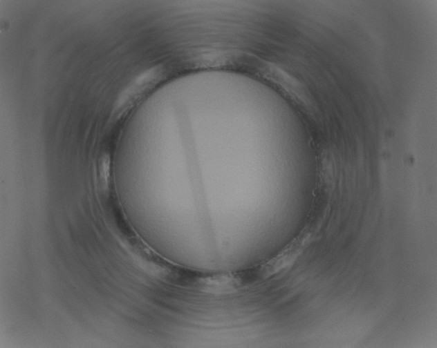 X0000077350118200611031831