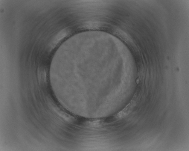 X0000077350120200611031831