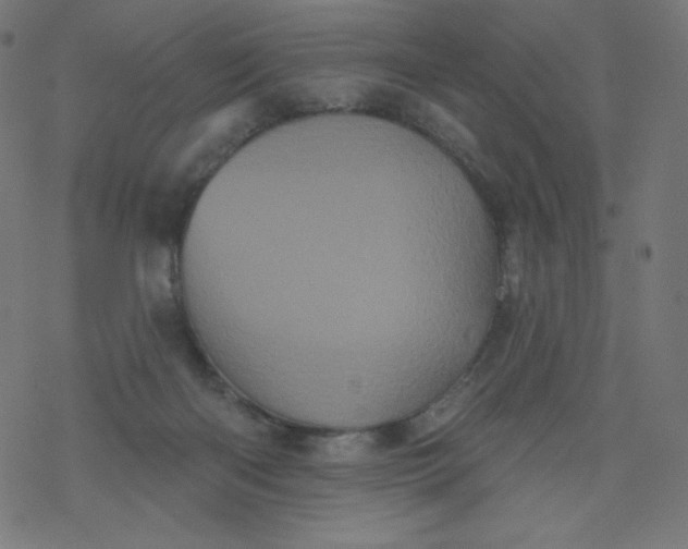 X0000077350122200611031831