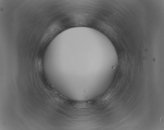 X0000077350123200611031831