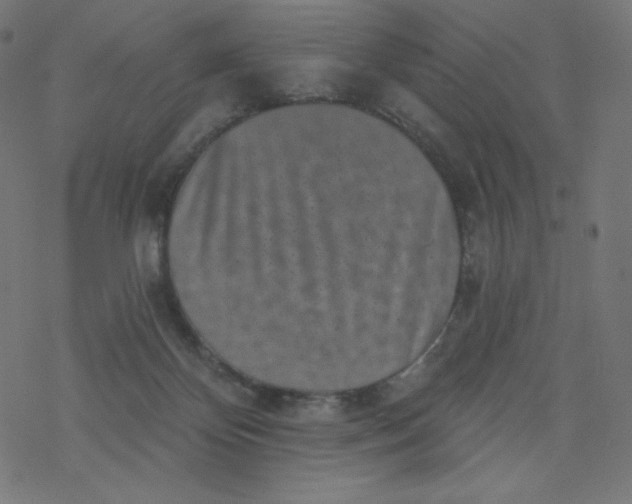 X0000077350124200611031831