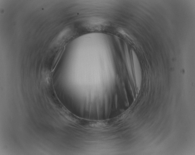 X0000077350125200611031831