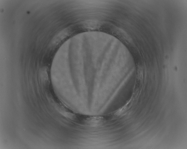 X0000077350128200611031831