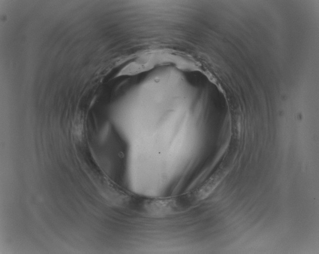 X0000077350129200611031831