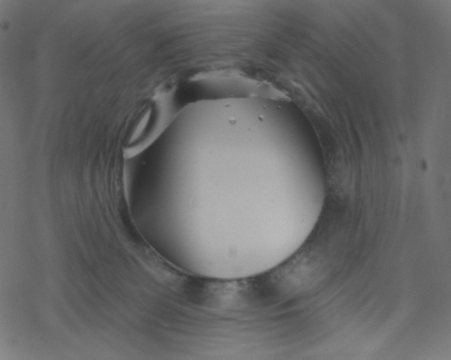 X0000077350131200611031831