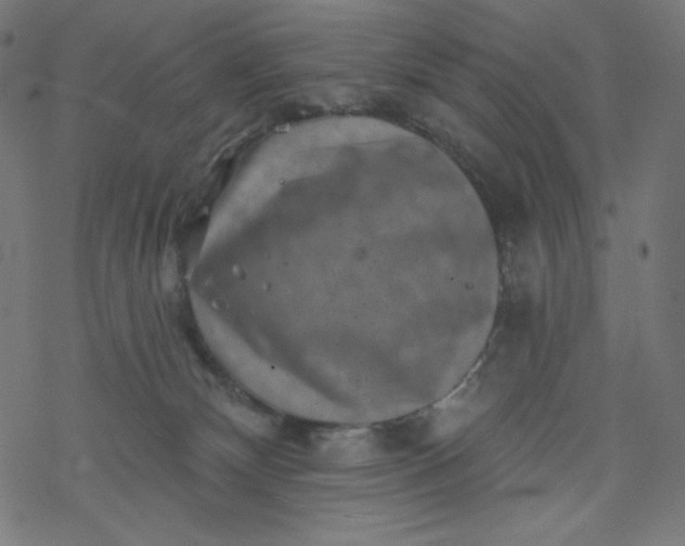 X0000077350132200611031831