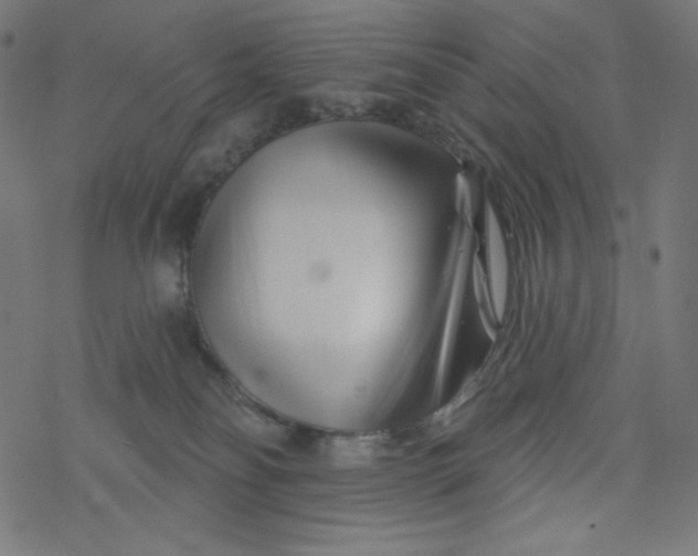 X0000077350134200611031830