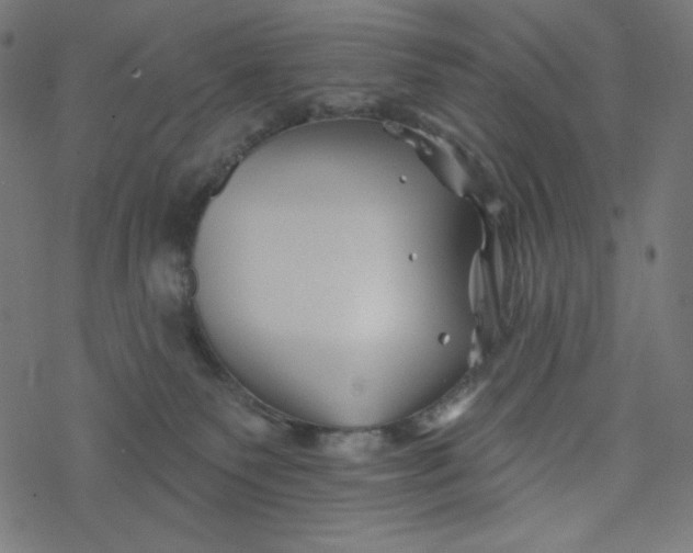 X0000077350135200611031830