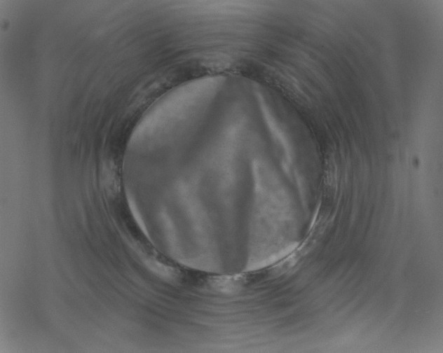 X0000077350136200611031830