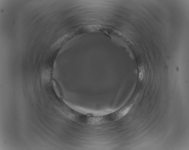 X0000077350139200611031830