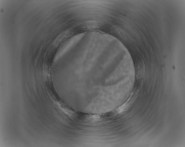 X0000077350140200611031830