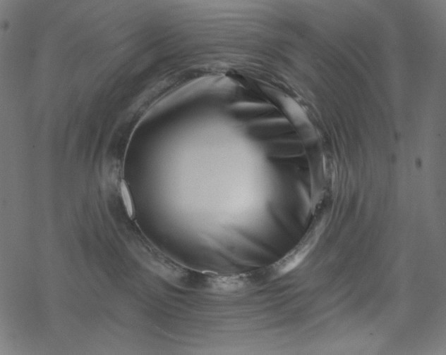 X0000077350141200611031830