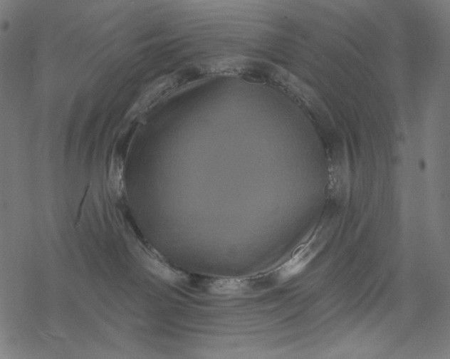 X0000077350142200611031830