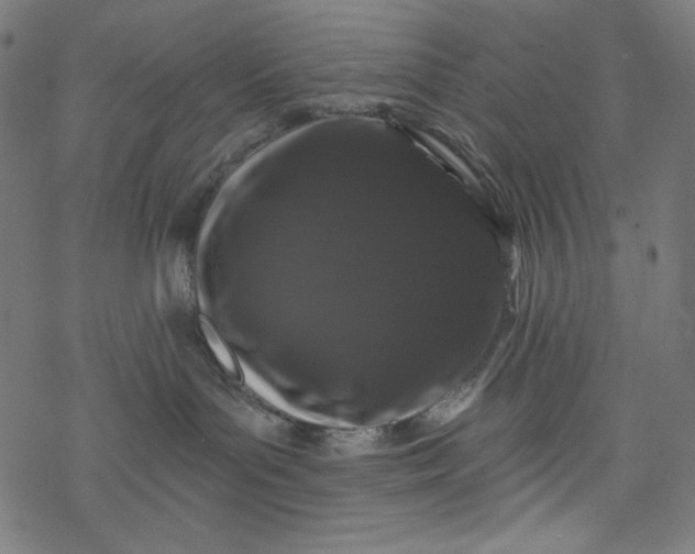 X0000077350143200611031830