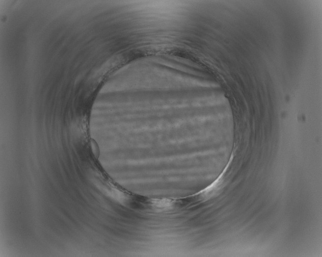 X0000077350144200611031830