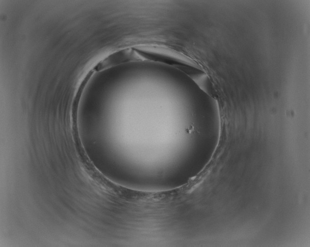 X0000077350148200611031830