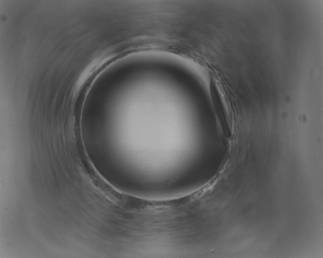 X0000077350150200611031830