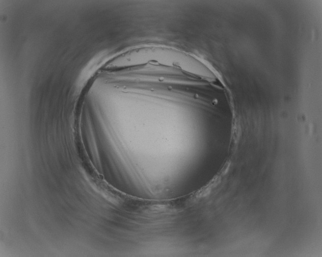 X0000077350151200611031830