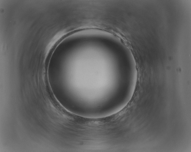 X0000077350152200611031830