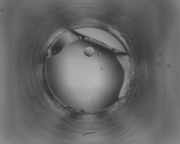 X0000077350154200611031830