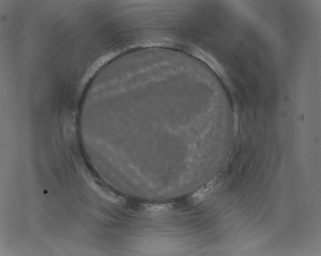 X0000077350155200611031830