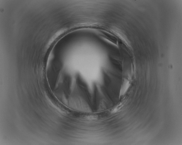 X0000077350156200611031830