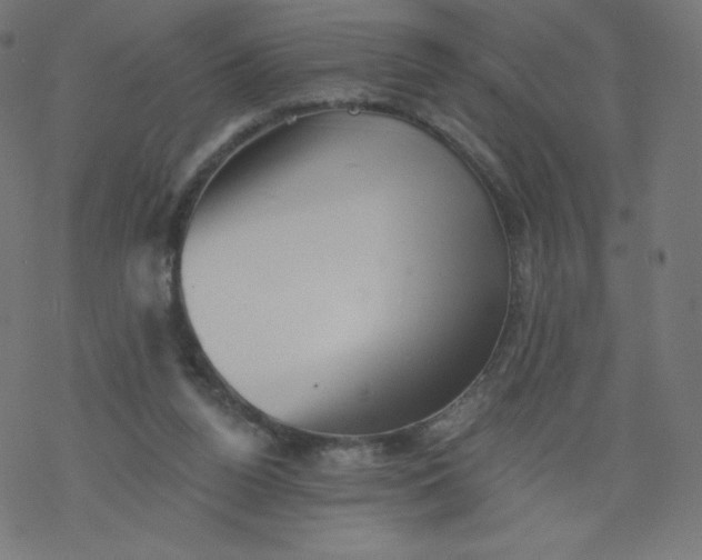 X0000077350160200611031830