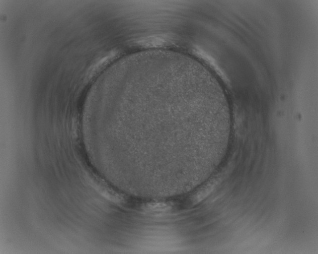 X0000077350161200611031830